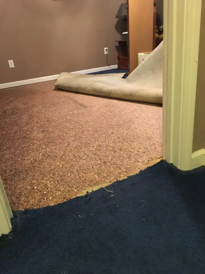 Carpet pad removal revealing water damage during Drying & Dehumidification in Cooper